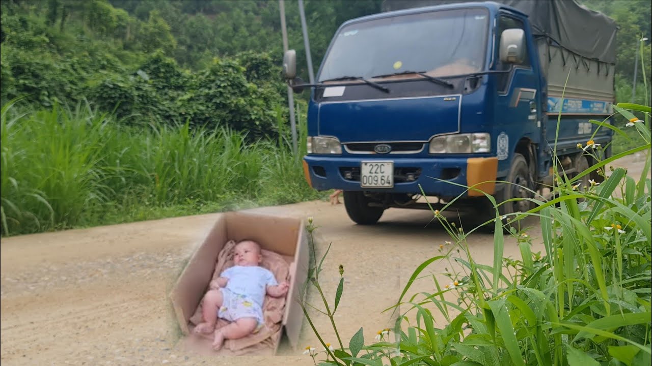 Single mother harvesting lychees to sell and orphaned girl wandering around hit by truck