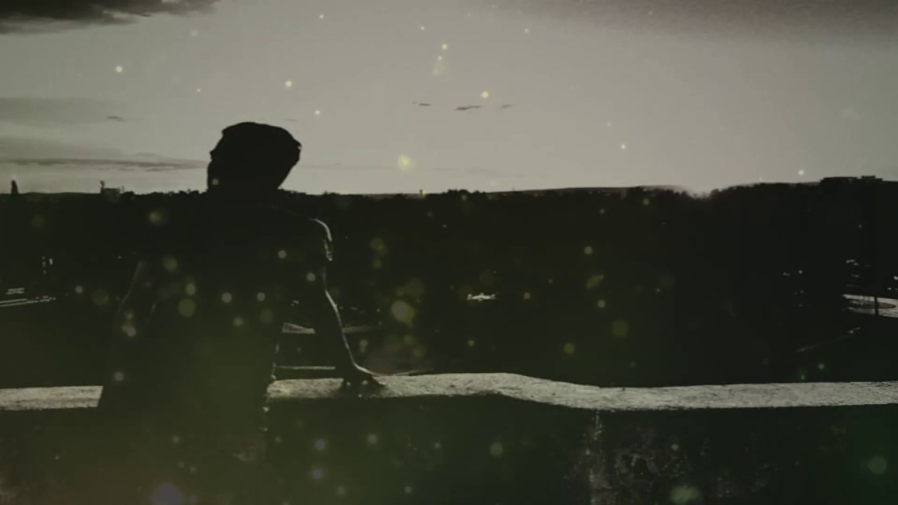 SinoeL - ÇÜRÜK MEYVE