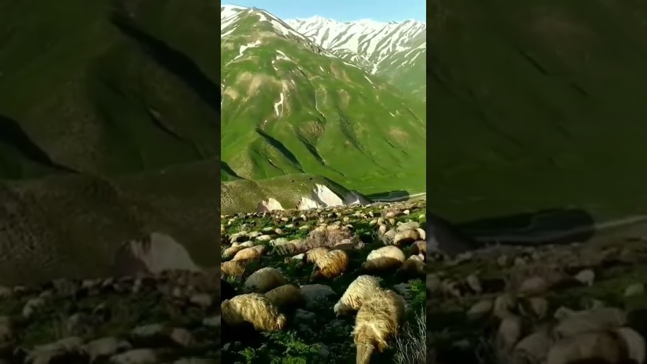 Sipan Xelat-Muzika Kurdi-Vatsap durum videoları