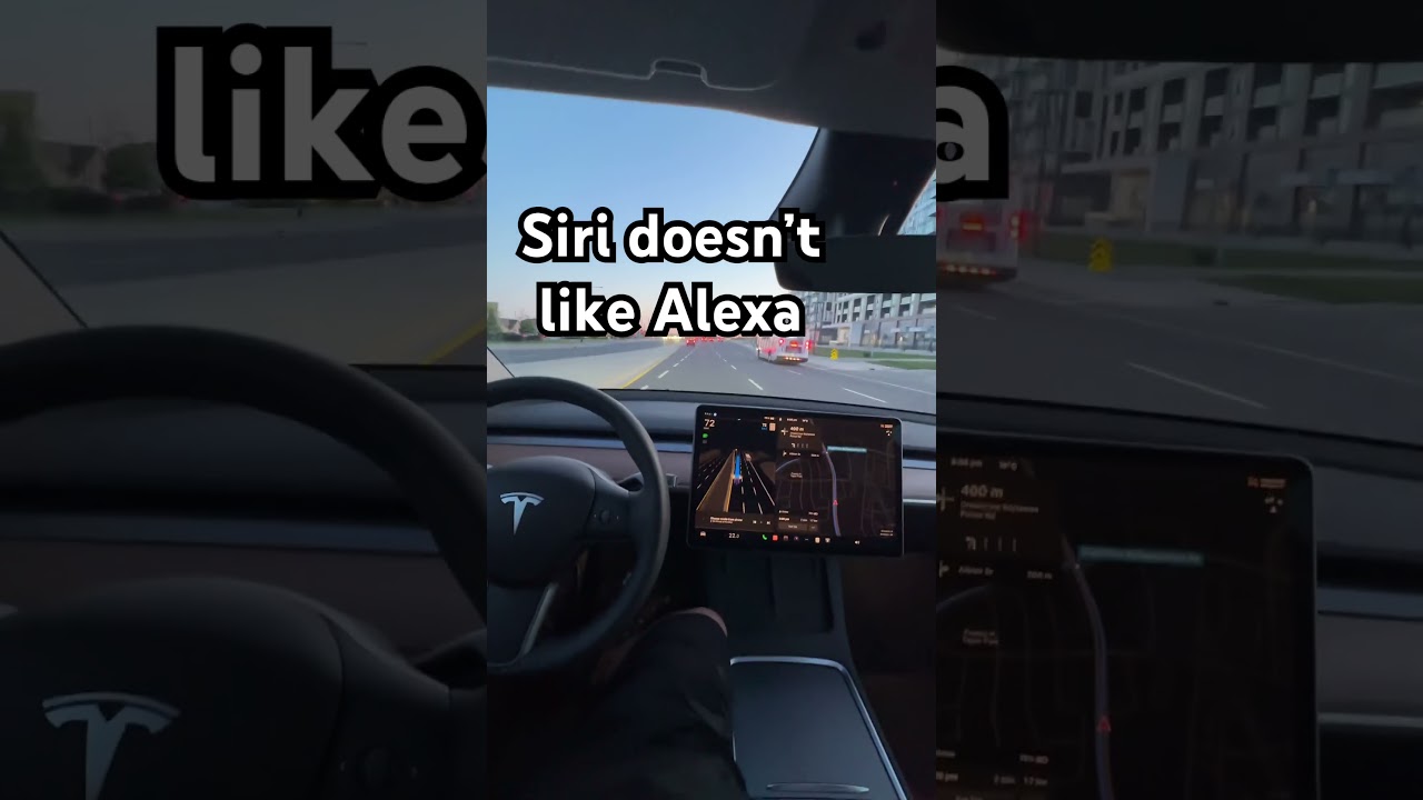 Siri Doesn’t Like Alexa #funny #comedy #siri #alexa #echo #apple #amazon