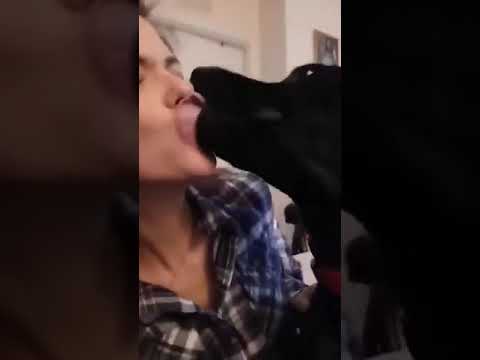 Sister Dog Kisses!