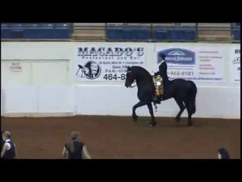 Sjoerd 2011 IFSHA World Champion Show Hack ATR