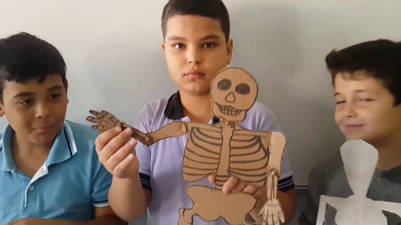 İskelet modelleri 6 - A (os - man)