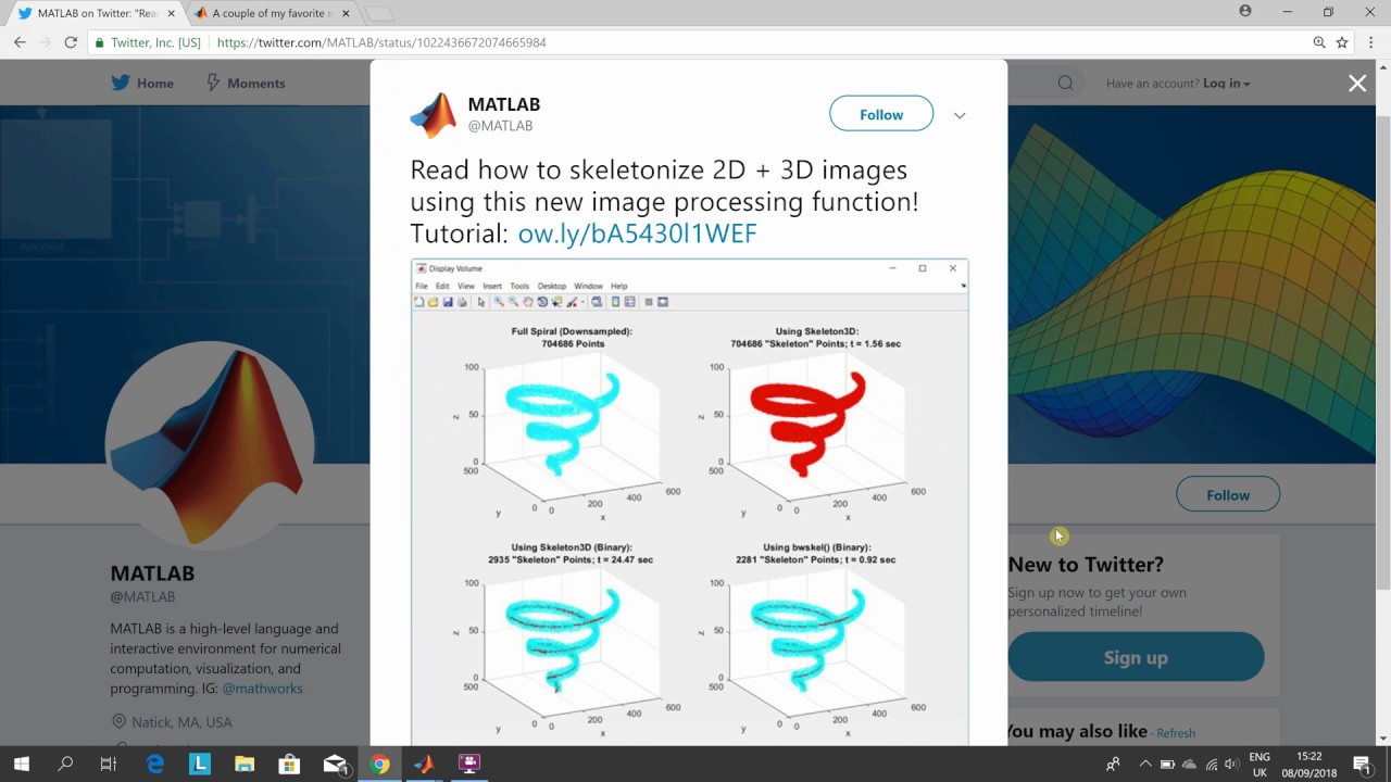Skeletonisation of a 3d volume in Matlab.