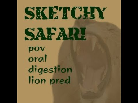 Sketchy Safari!