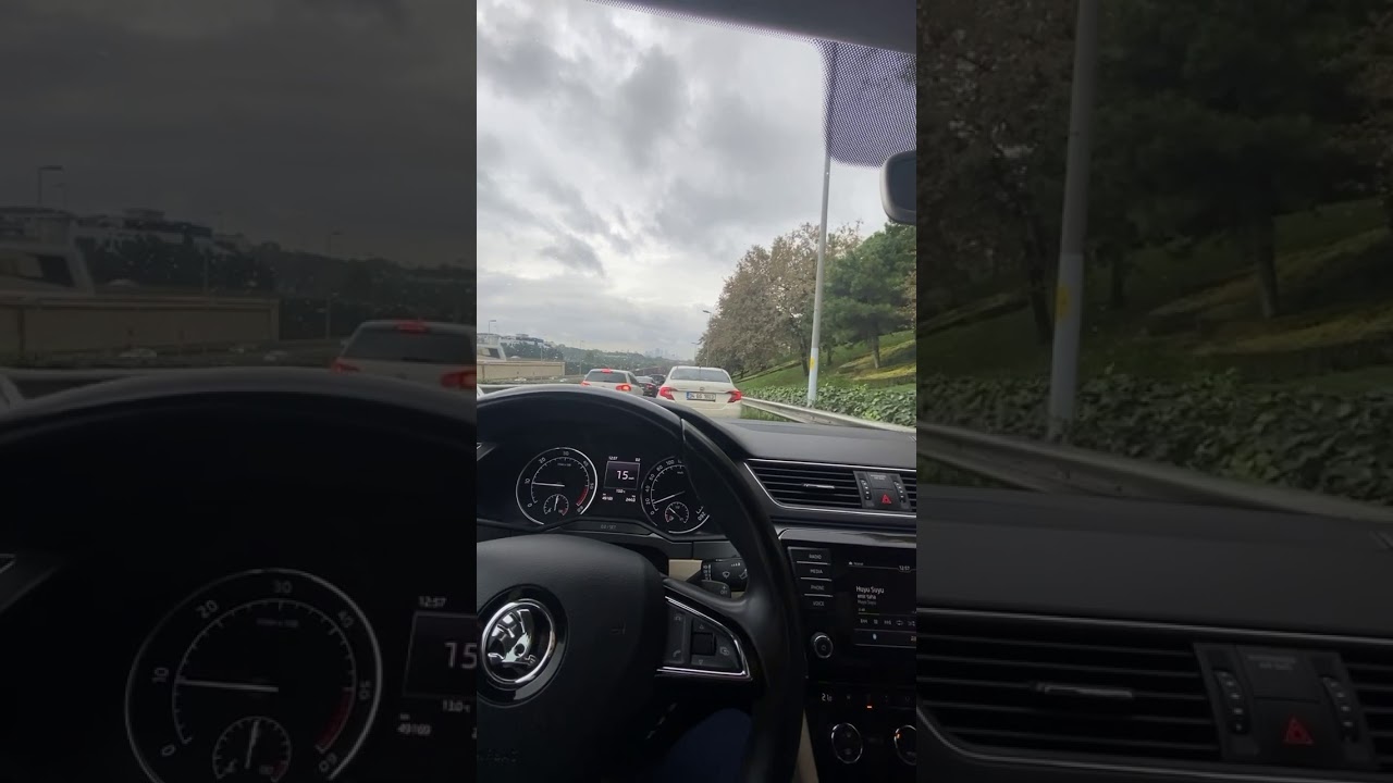 Skoda Superb gündüz snap