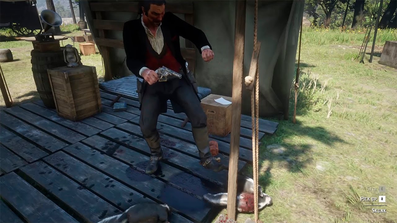 Skunks attacked the camp