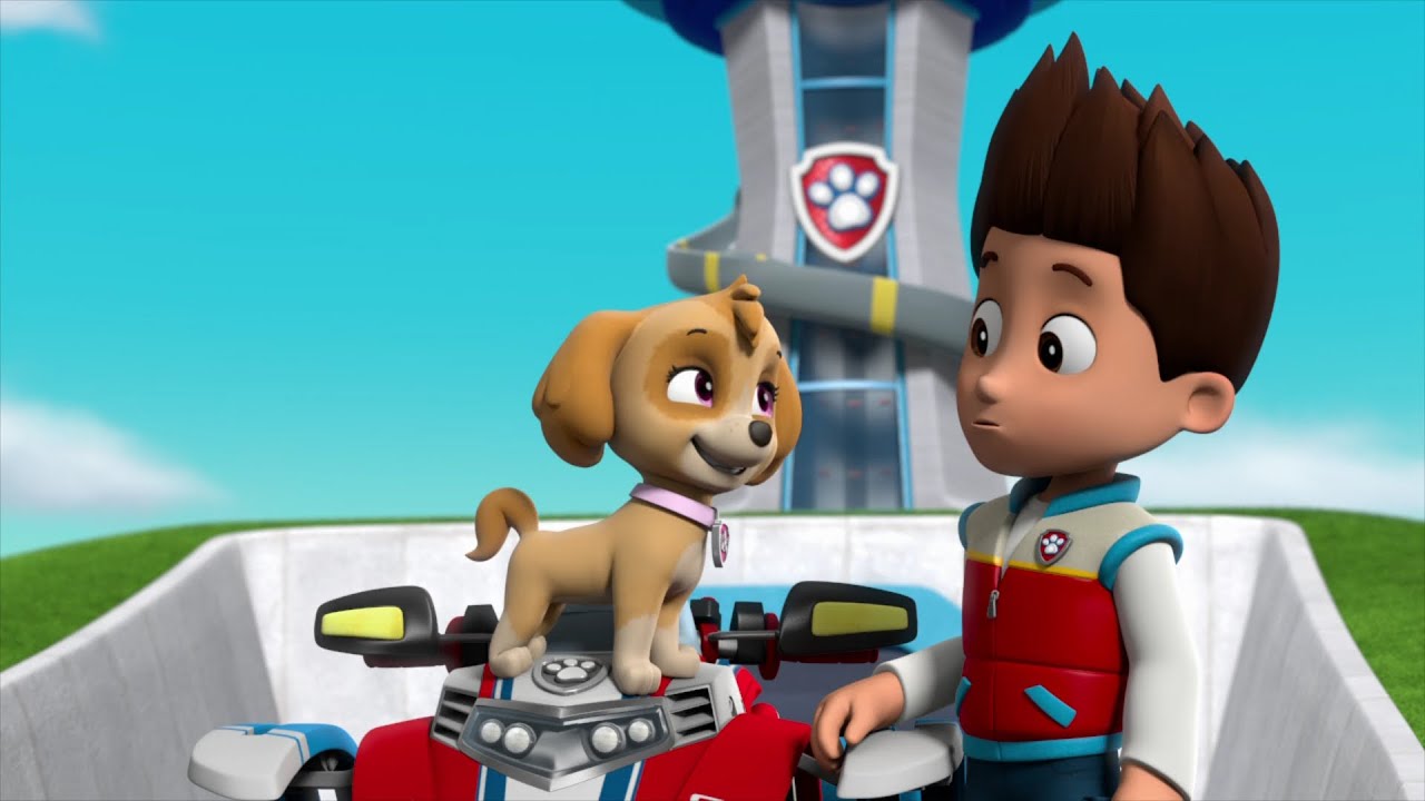 Skye Watches Ryder - Paw Patrol