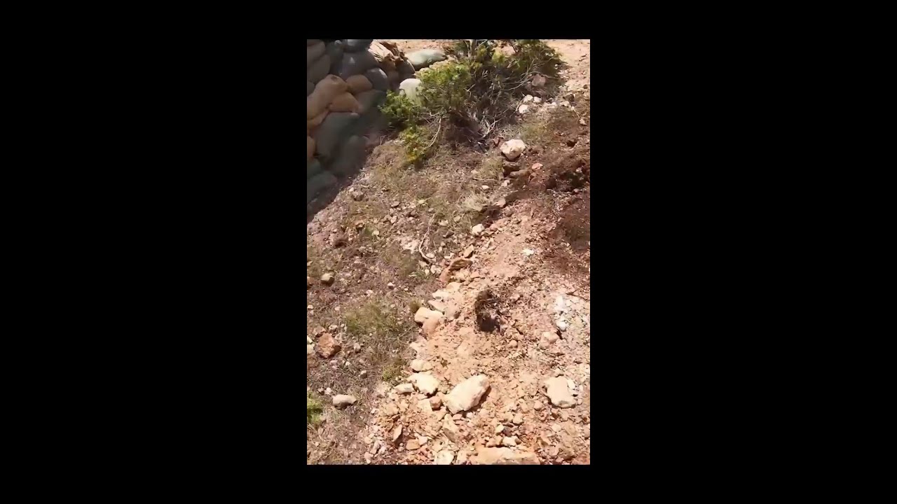 #SkySoldiers Frag out! #viralvideo #shortvideo