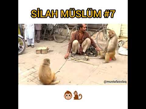 SİLAH MÜSLÜM 7  Antep Dublaj