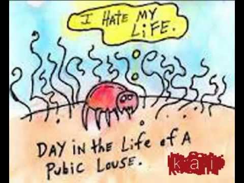Slank - Bangsat