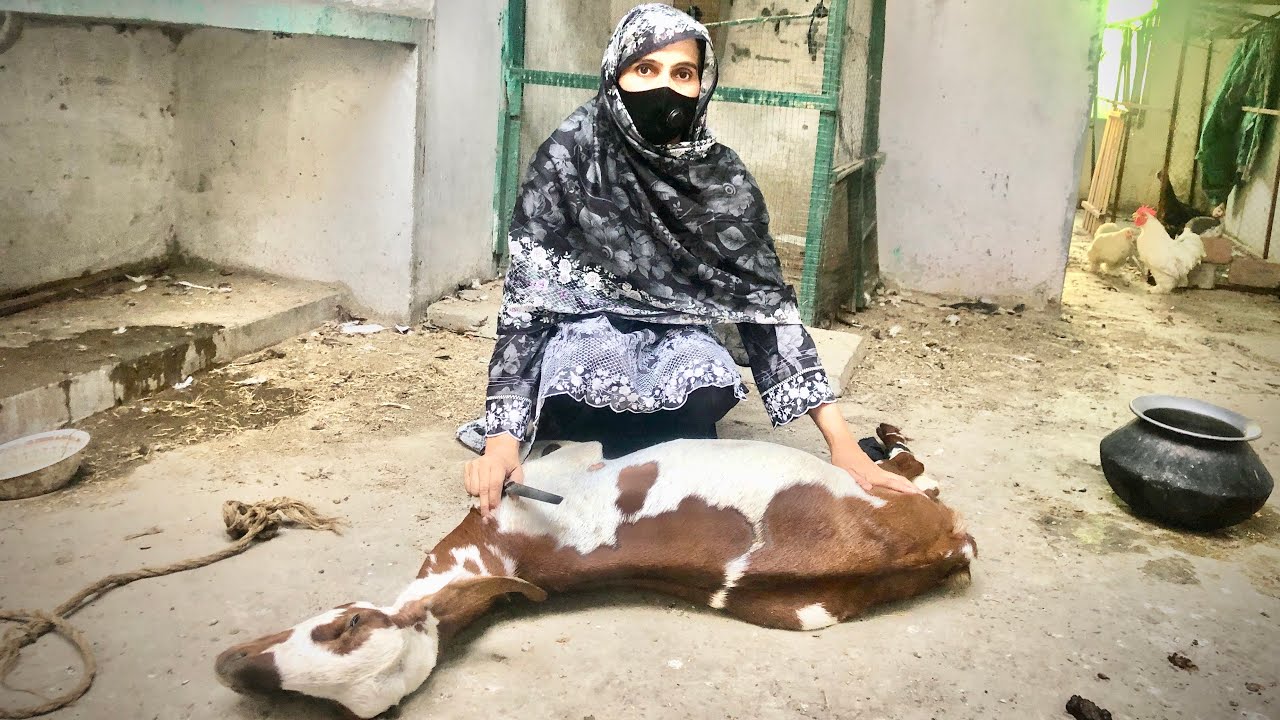 Slaughter goat by women 😍🔪