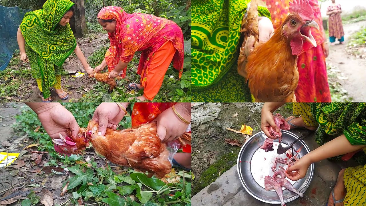 Slaughtering chickens of village girls | Easy way to slaughter chickens for women