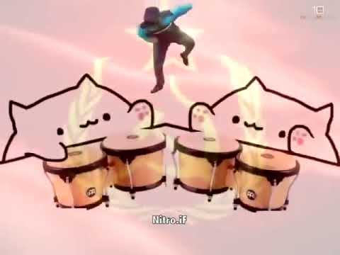 Slavic Bongo Cat (10 Hour version).