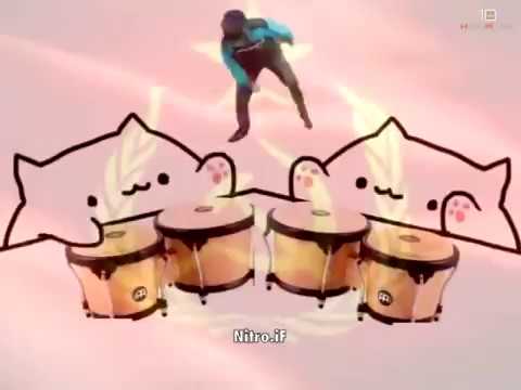 Slavic Bongo Cat 10 Hours