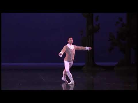 Sleeping Beauty (Prince Desirée act 2 variations)