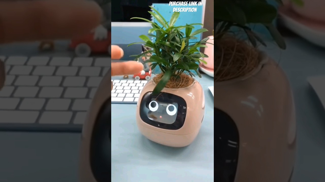 smart flower pot #flowerpot #emotion #demand #imported #leddisplay #robotic #sensor #companion