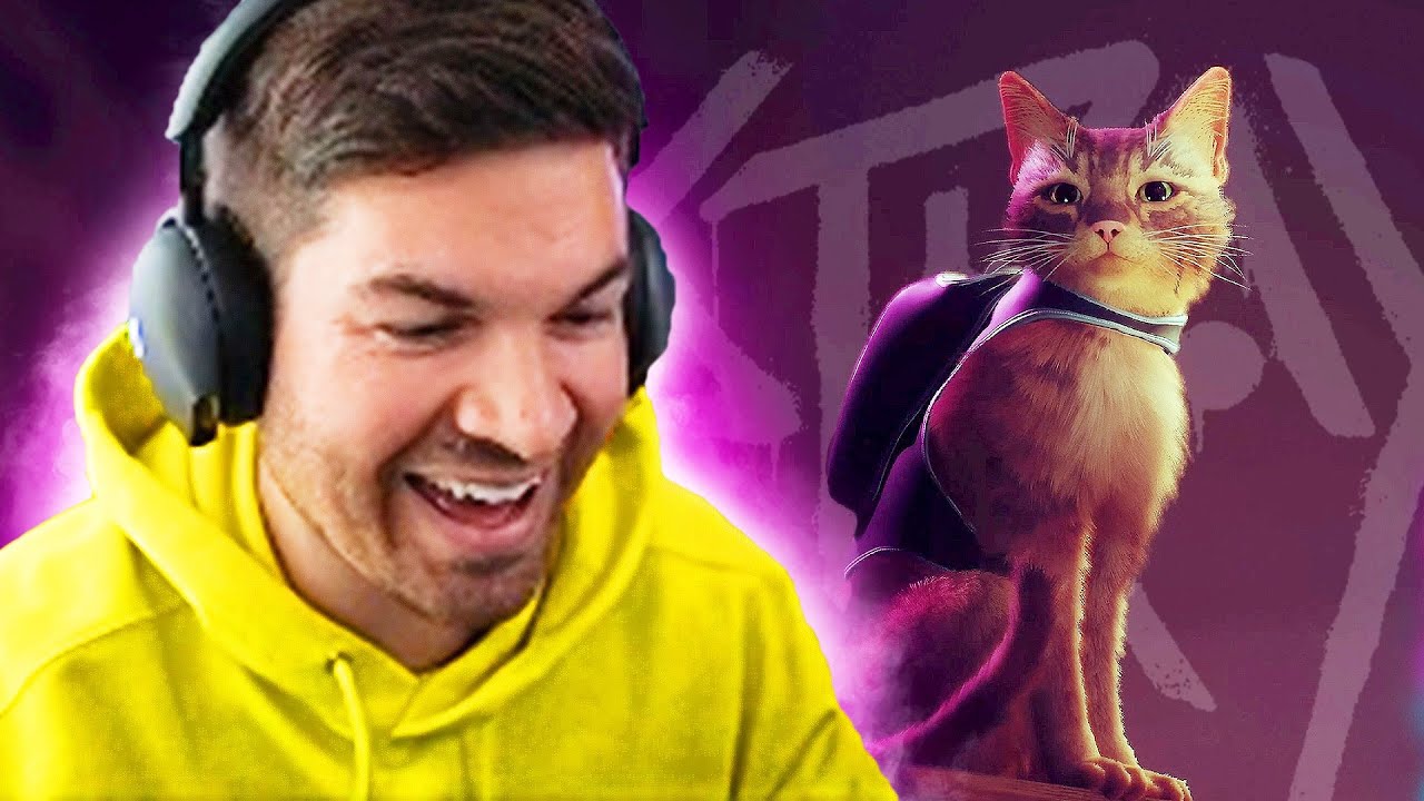 Smartest Guy Alive playing new game Stray (single-player)