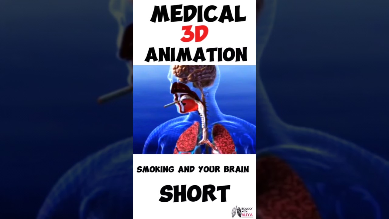 Smoking and your Brain Medical 3D Animation #short  🚬                           Biology With Aliya.💞