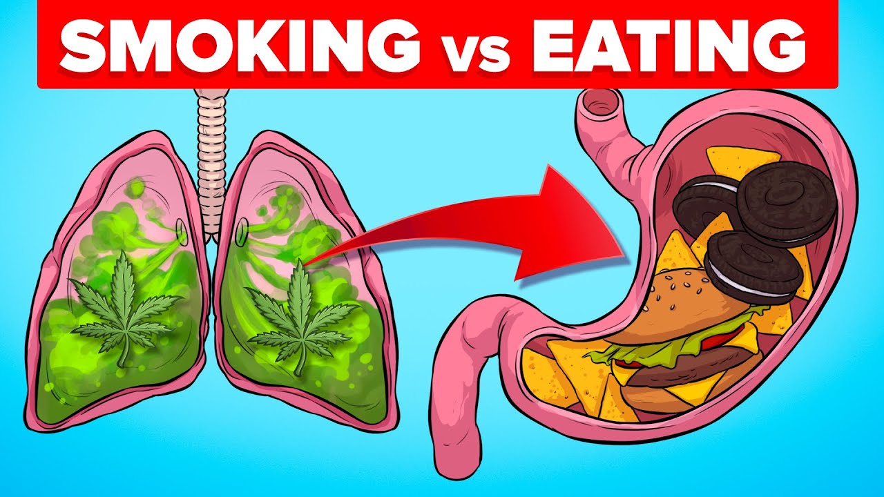 Smoking Weed vs Eating Edibles - What Happens to Your Body