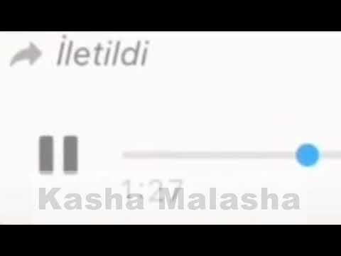 Sən gijdıllağsan? Sığorta şirkətinin əməkdaşına dedi :D