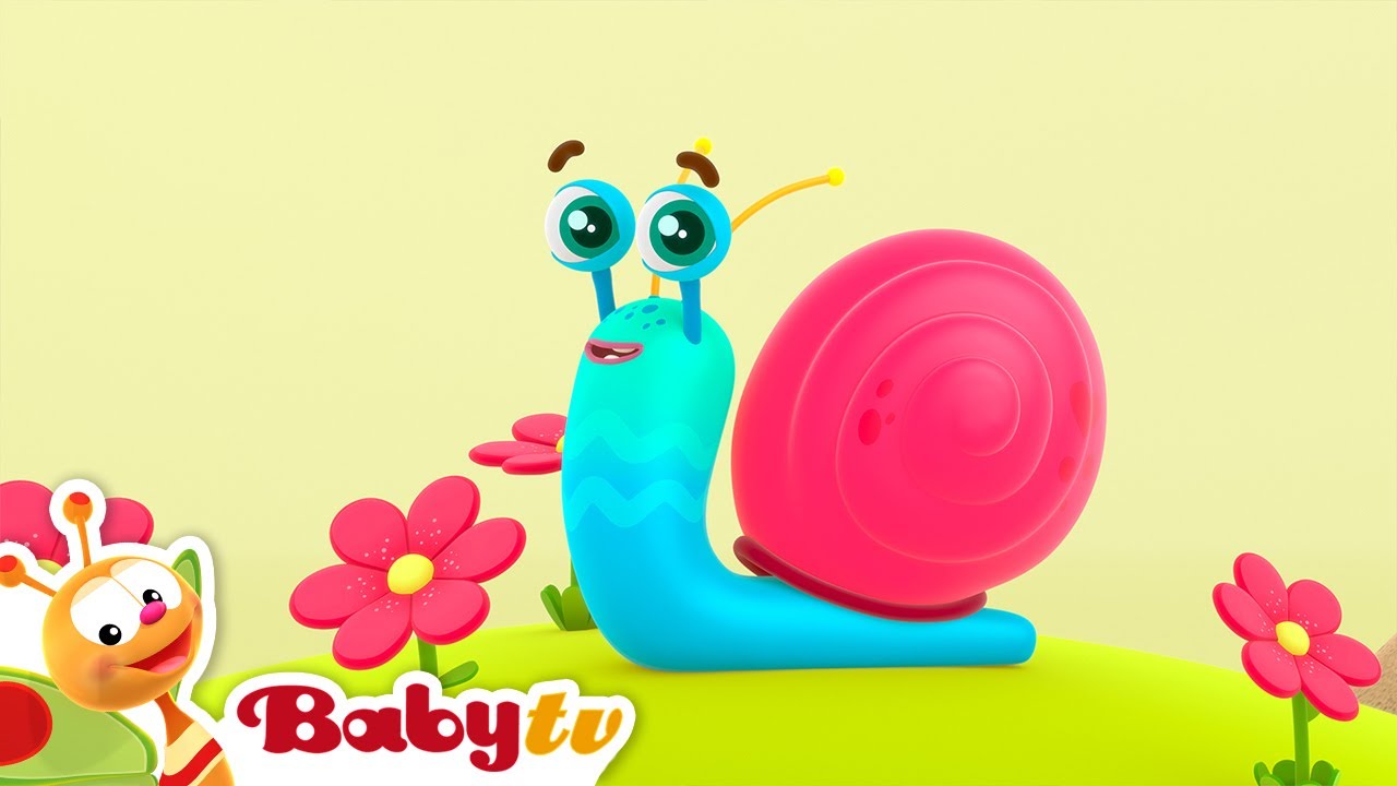 Snail Trail -Daily on BabyTV @BabyTV