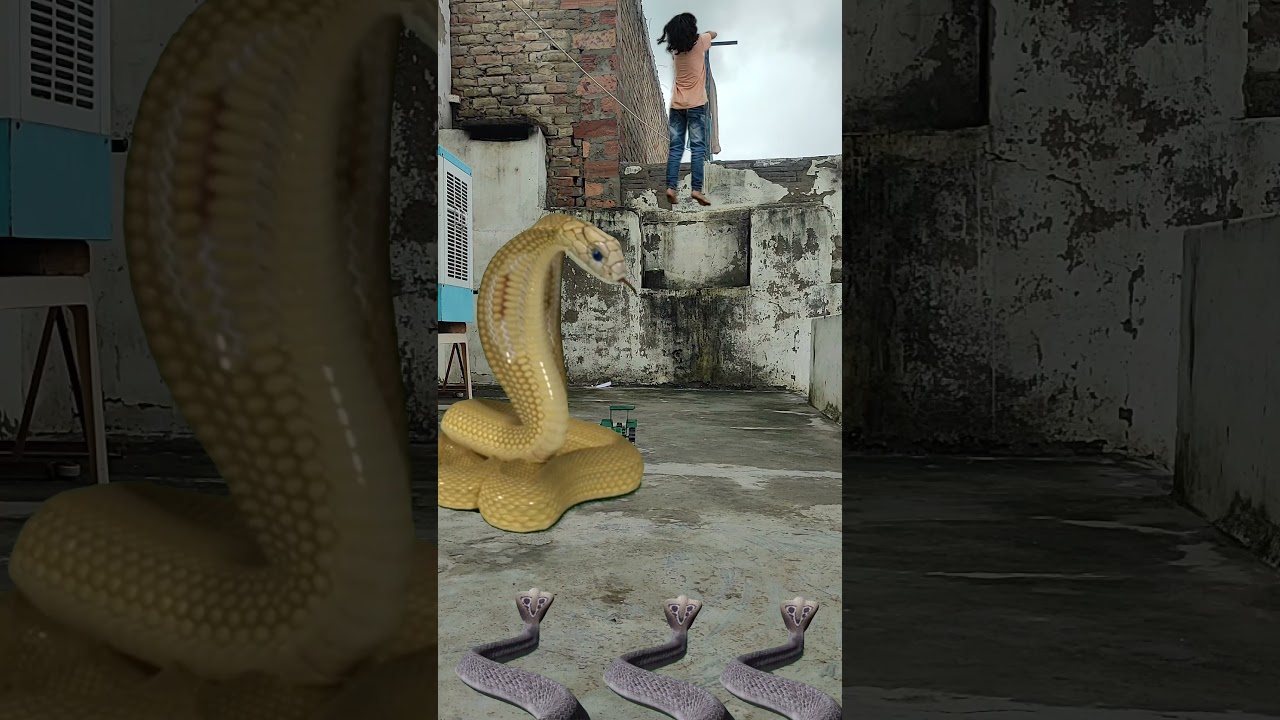 snake video saamp Funny nagin vfx video #shorts #youtube
