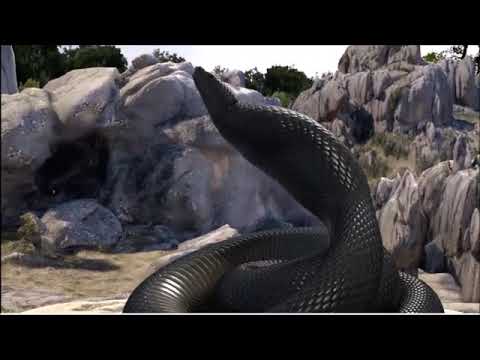 snake vore girl