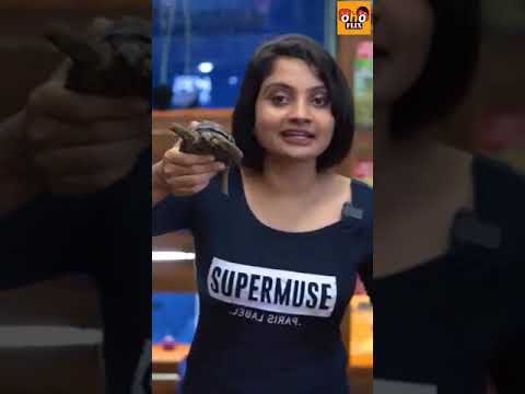 Snakes and Soundharya Murali - Fun video