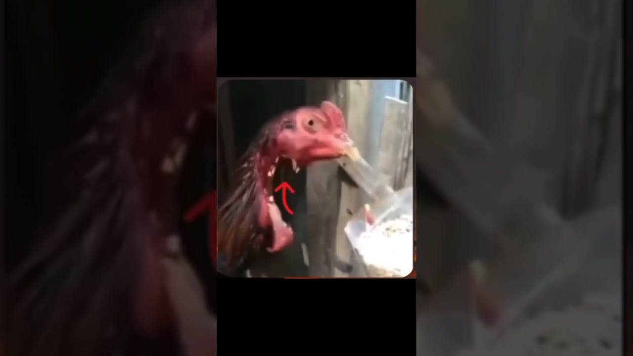 Sống ở đời đừng để mất chữ tín