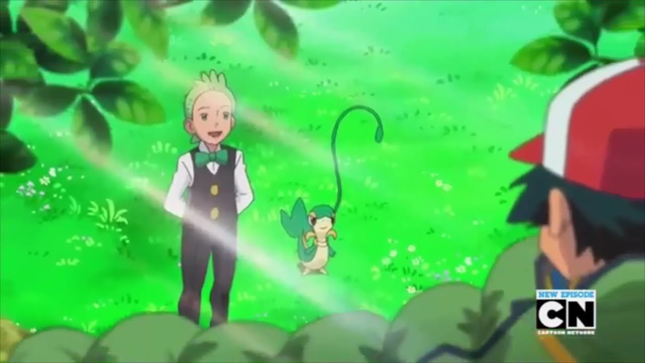 Snivy and Cilan wake Ash up !