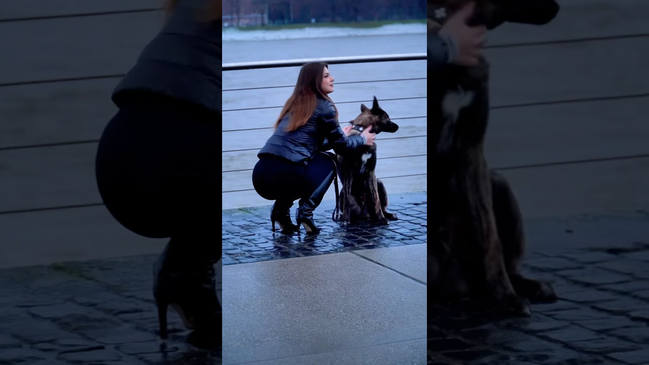 So ein Feini 🥹 #hund #cute #girl #xeniahelena #viral #shorts