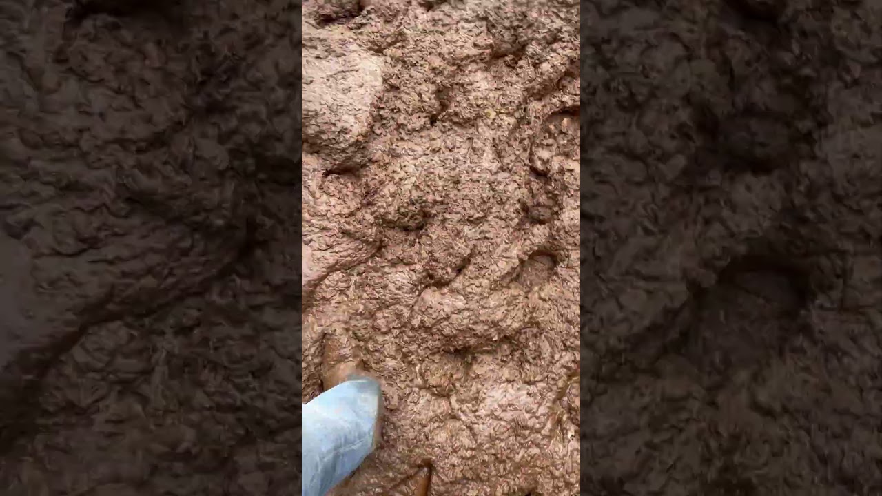 So you want to be a Horse Wrangler, huh? 🐴💩 #jacksonhole #poop #horses #corral #duderanch