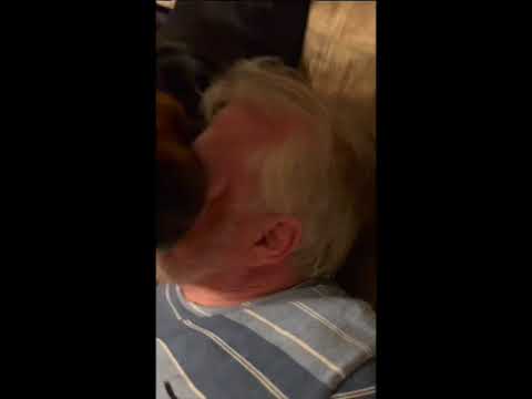 Some face licks by TWO dogs!