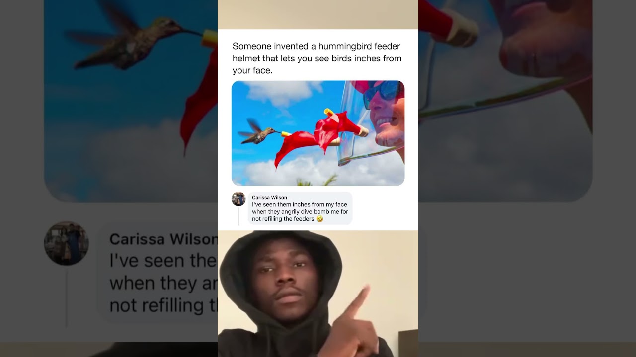 Someone invented a hummingbird feeder helmet that lets you see. #meme