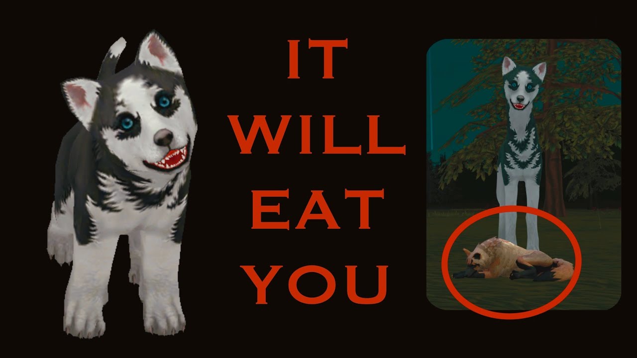 Something Is VERY Wrong With This Husky (Wildcraft Horror Story)