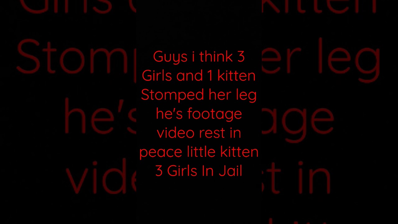 Sometimes The 3 girls and 1 kitten he's death now😭
