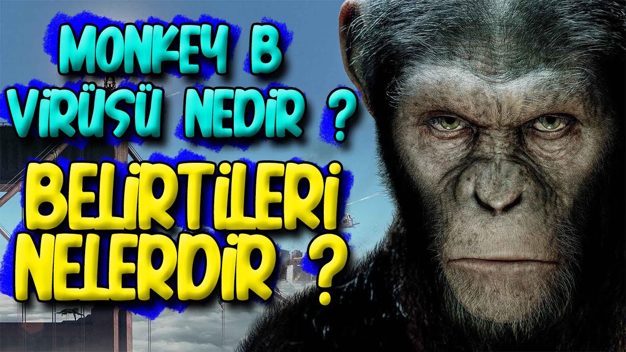 Son Dakika ! Monkey B Virüsü Nedir? Belirtileri Nelerdir? Korona virüs haber gündem - Çin ?