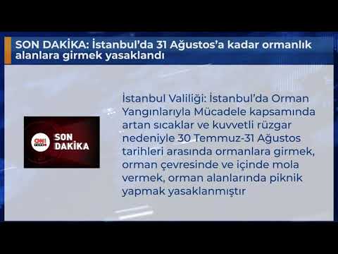 SON DAKİKA: İstanbul’da 31 Ağustos’a kadar ormanlık alanlara girmek yasaklandı