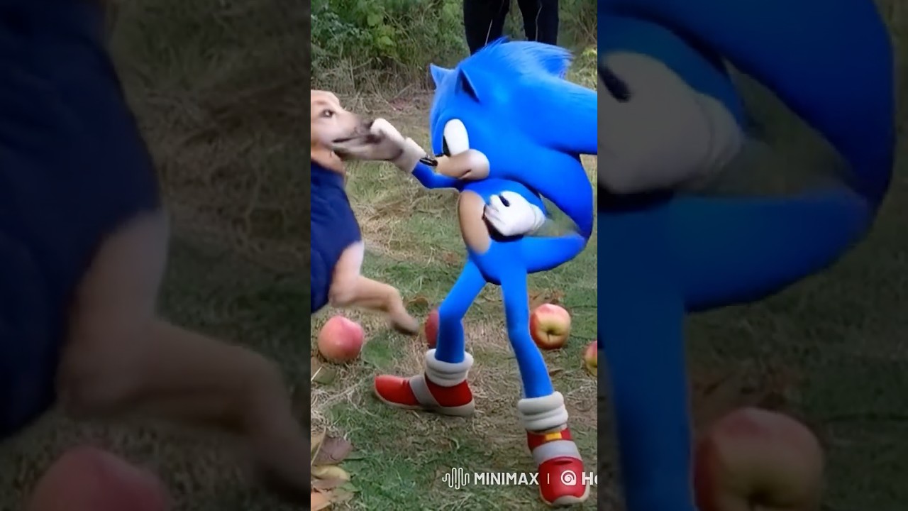 Sonic Steals the Chaos Emerald from Apple Dog! 🐶💎💨 #sonic3 #shorts  #4k