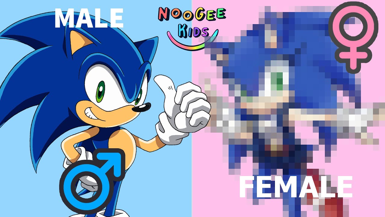 Sonic the hedgehog genderswap | Sonic Con Género Opuesto | Female Sonic | Sonic Geschlechtertausch