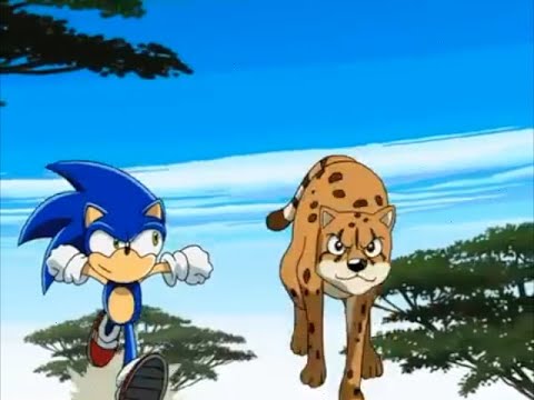 Sonic X Comparison: Sonic VS Cheetah; Who's The Fastest? (Japanese VS English)