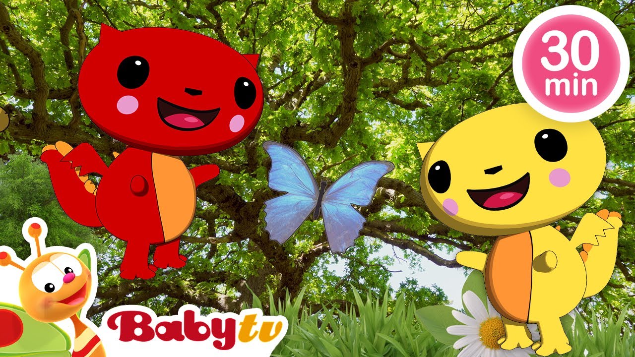 Sonidos relajantes 🌃 | Videos relajantes para bebés y niños pequeños @BabyTVSP