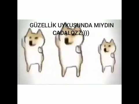 sonunda uyanabildin prenses