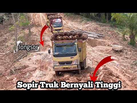 Sopir Truk Sawit Masih Saja Nekat Walaupun Jalan Masih Licin