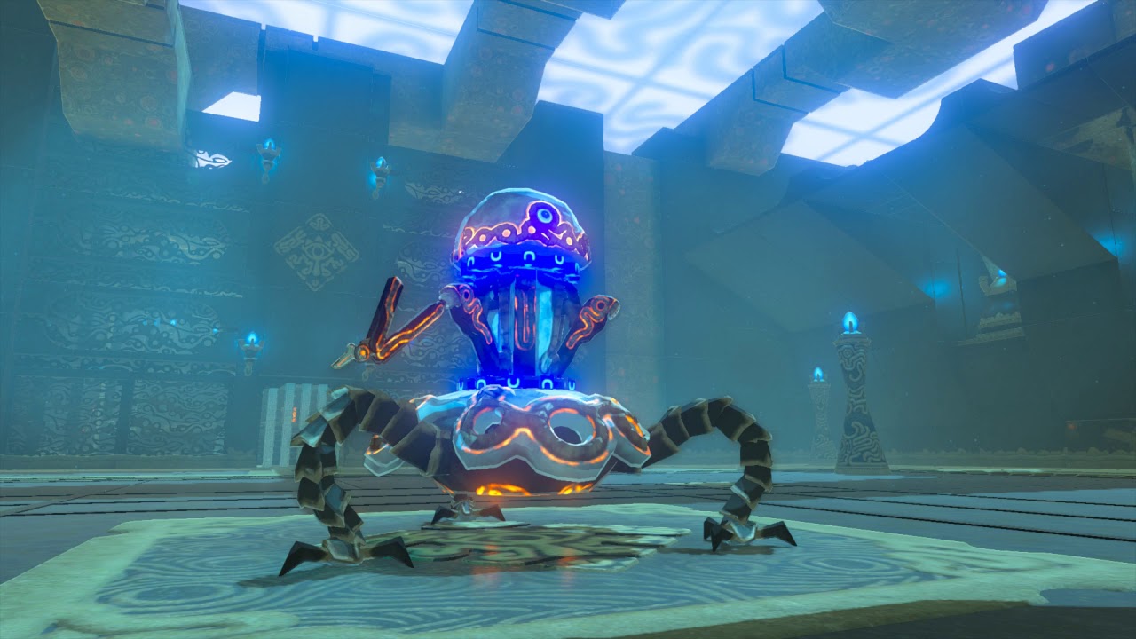 sora in botw