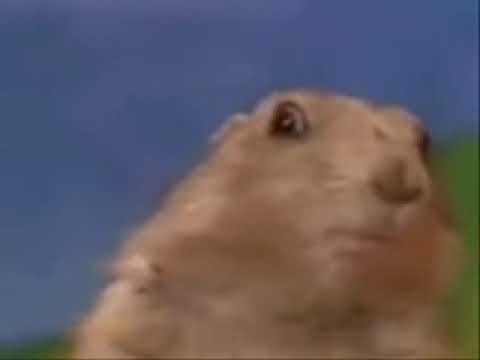 Sorprendido 😮 (Meme)