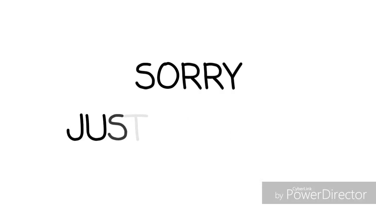SORRY -JUSTIN BEIBER / DANCE -CHITRA PADUI