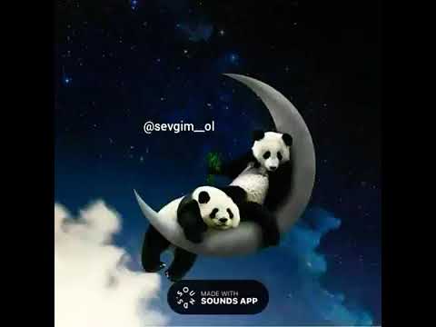 Sounds app #10 wp üçün əla statuslar