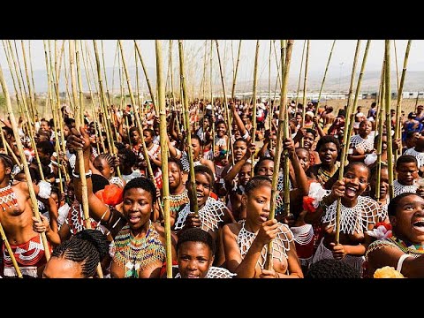 South Africa: Joy as Zulu reed dance festival returns | Africanews